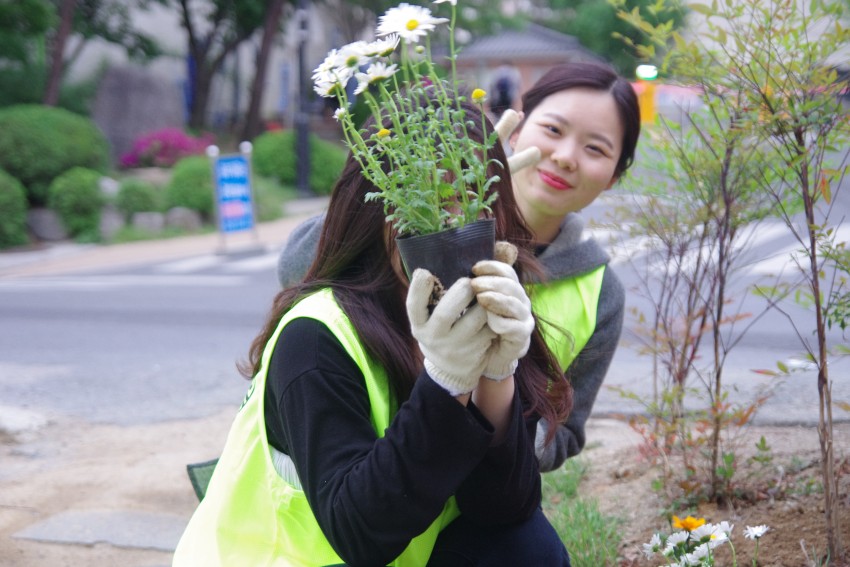 80a45e3a9f63914e0a7f8a40d2ed3e44_1495079