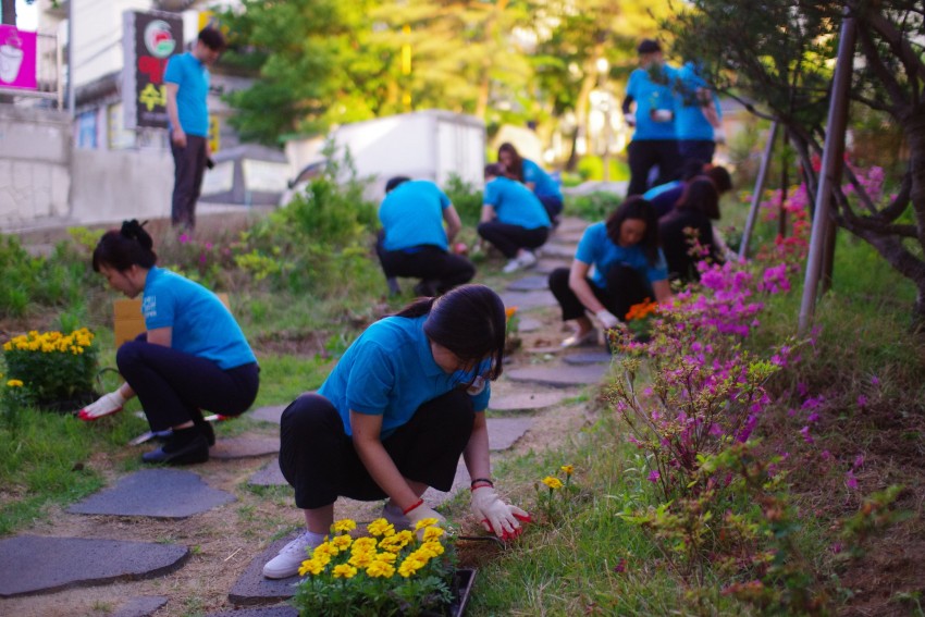 53ff0a50efb7a402f3248d6e941d49a3_1525674