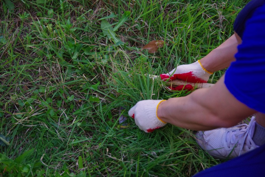 dcec3964cb590fdbda694945a78384d9_1559179